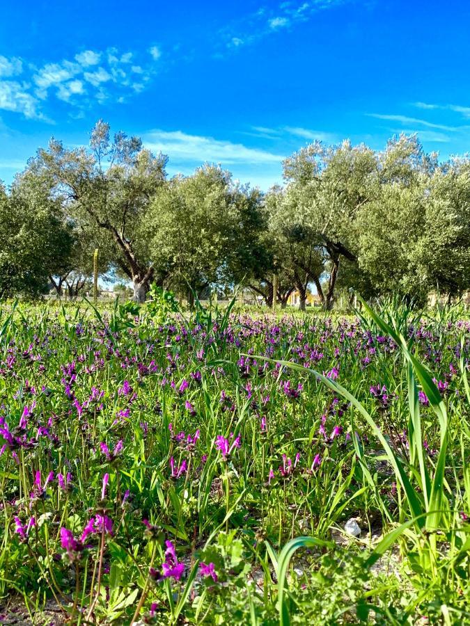 Alacati Barbarossa Hotel Çeşme Luaran gambar